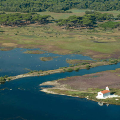 ΟικοΜ Μελετητική Περιβάλλοντος