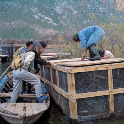 ΟικοΜ Μελετητική Περιβάλλοντος