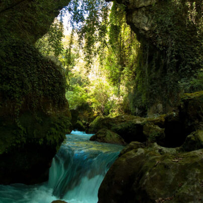 ΟικοΜ Μελετητική Περιβάλλοντος