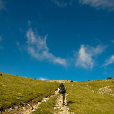 ΟικοΜ Μελετητική Περιβάλλοντος